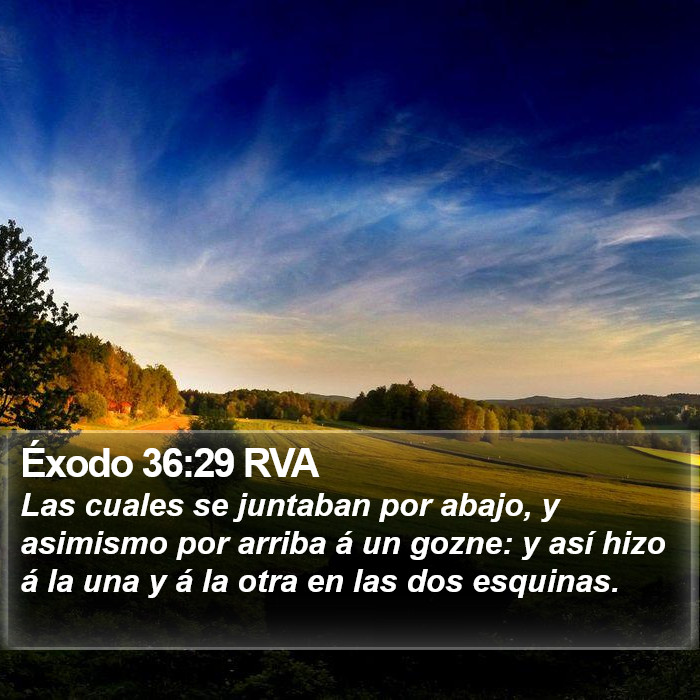 Éxodo 36:29 RVA Bible Study