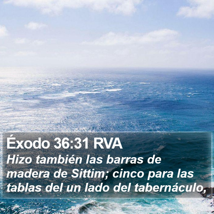 Éxodo 36:31 RVA Bible Study