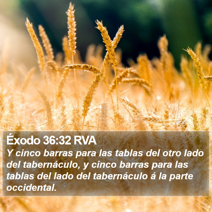 Éxodo 36:32 RVA Bible Study