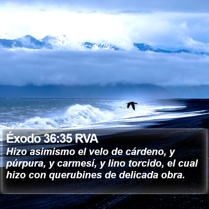 Éxodo 36:35 RVA Bible Study