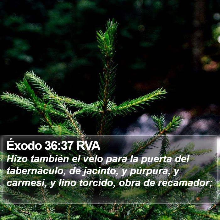 Éxodo 36:37 RVA Bible Study