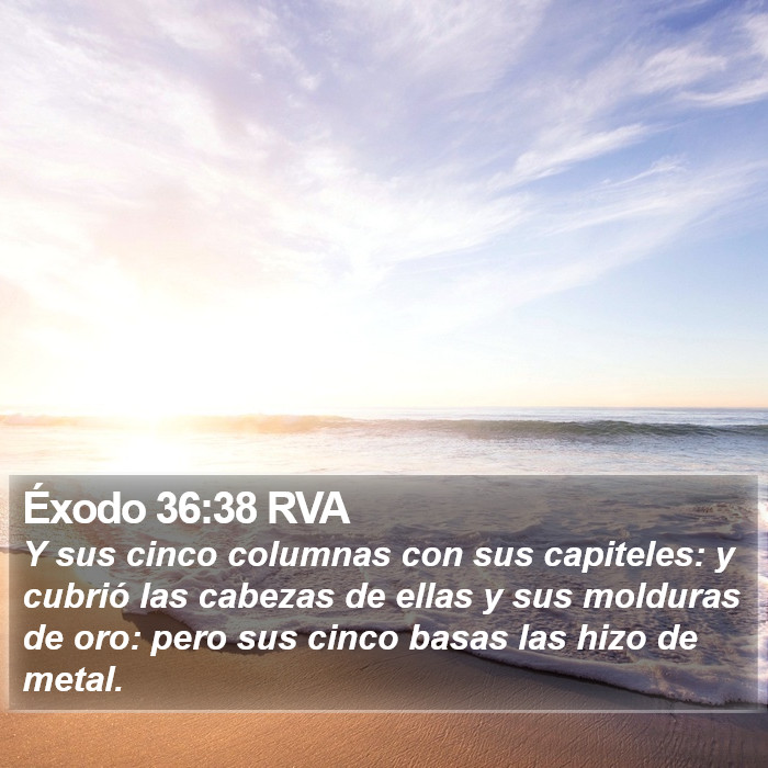 Éxodo 36:38 RVA Bible Study