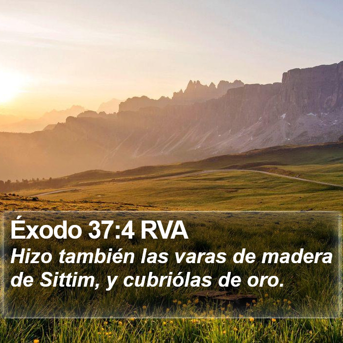 Éxodo 37:4 RVA Bible Study