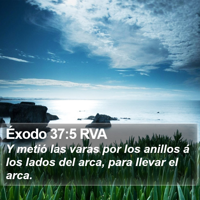 Éxodo 37:5 RVA Bible Study