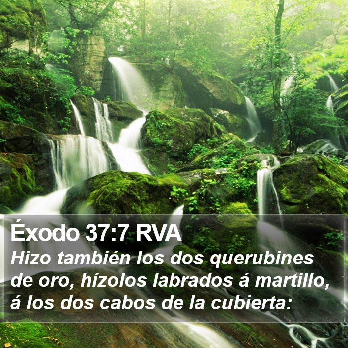 Éxodo 37:7 RVA Bible Study