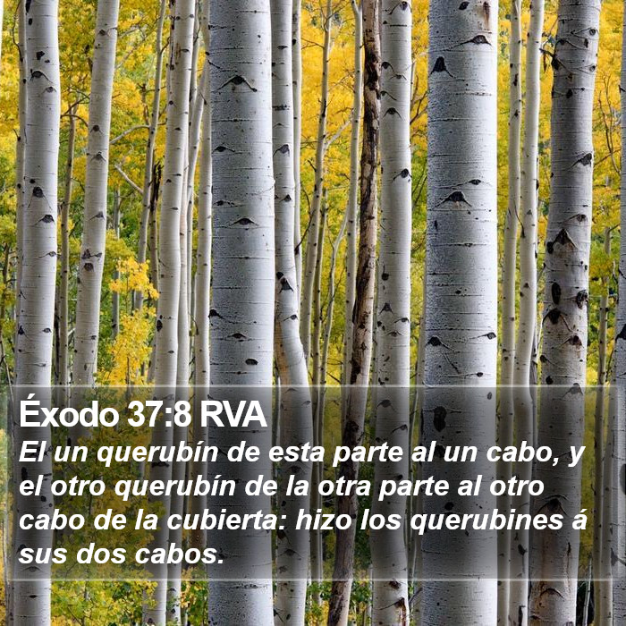 Éxodo 37:8 RVA Bible Study