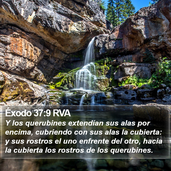 Éxodo 37:9 RVA Bible Study