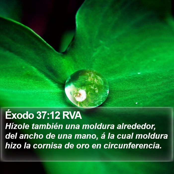 Éxodo 37:12 RVA Bible Study