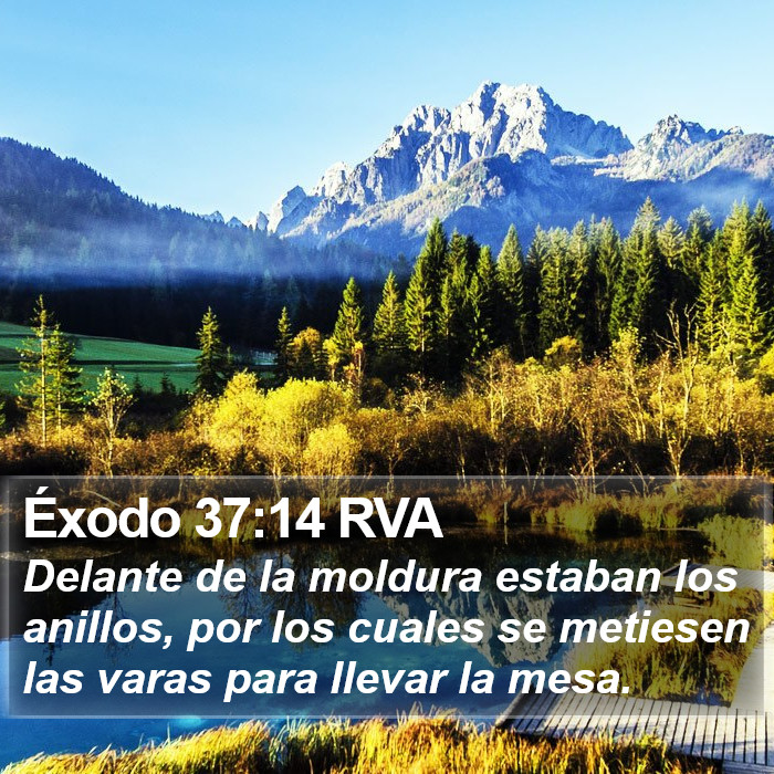 Éxodo 37:14 RVA Bible Study