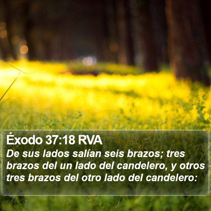 Éxodo 37:18 RVA Bible Study