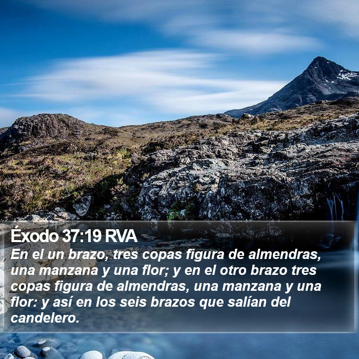 Éxodo 37:19 RVA Bible Study