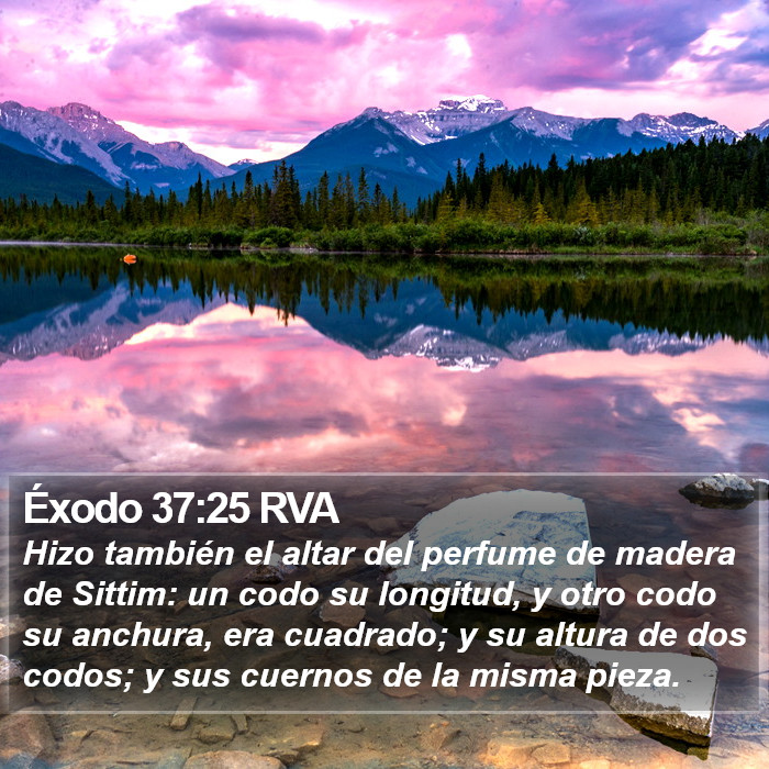 Éxodo 37:25 RVA Bible Study