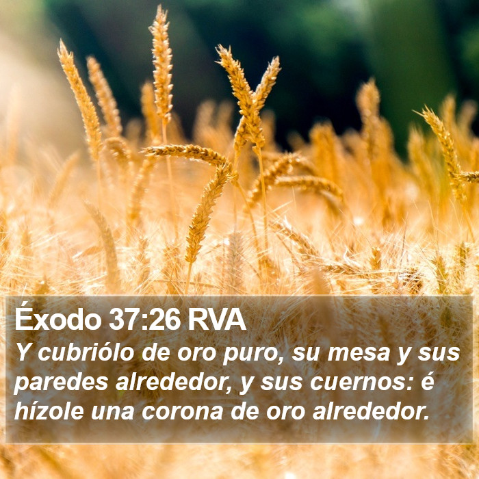 Éxodo 37:26 RVA Bible Study