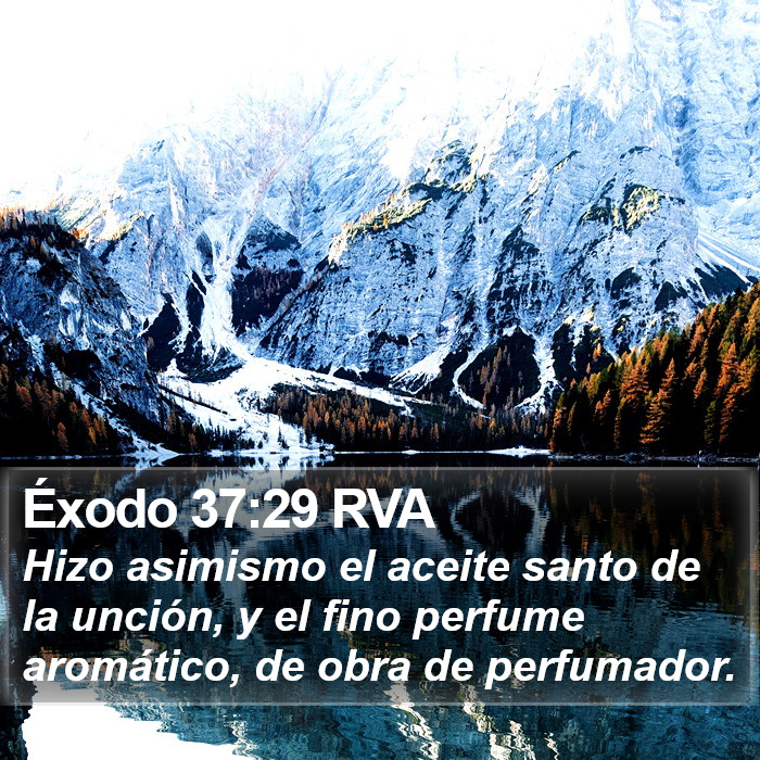 Éxodo 37:29 RVA Bible Study