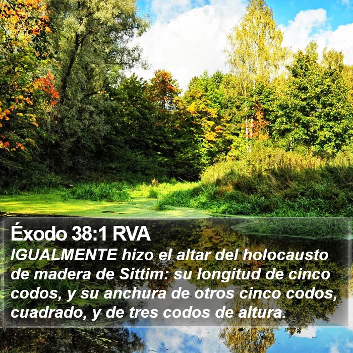 Éxodo 38:1 RVA Bible Study