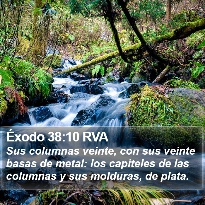 Éxodo 38:10 RVA Bible Study