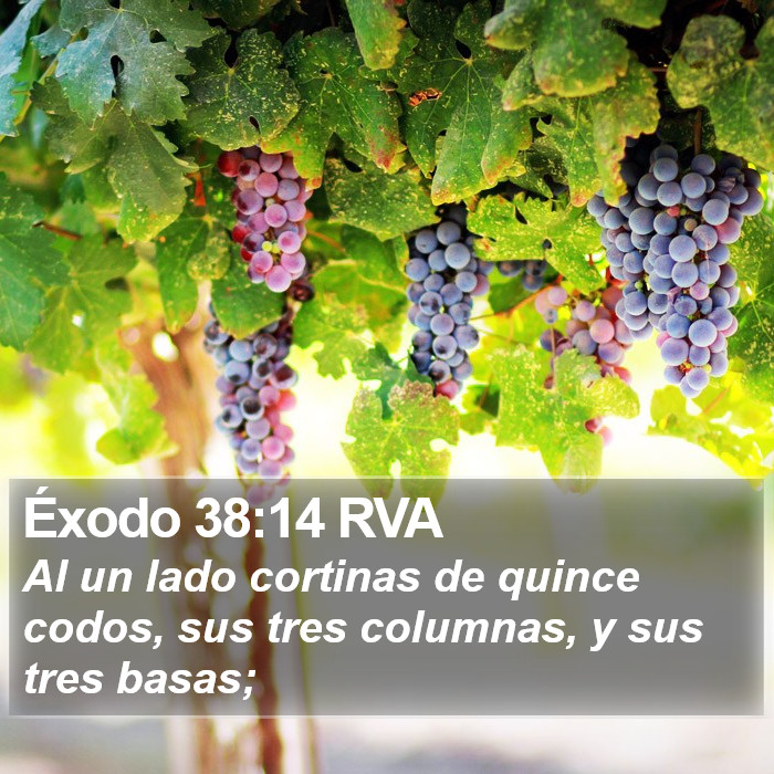 Éxodo 38:14 RVA Bible Study