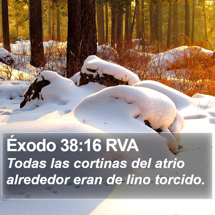 Éxodo 38:16 RVA Bible Study