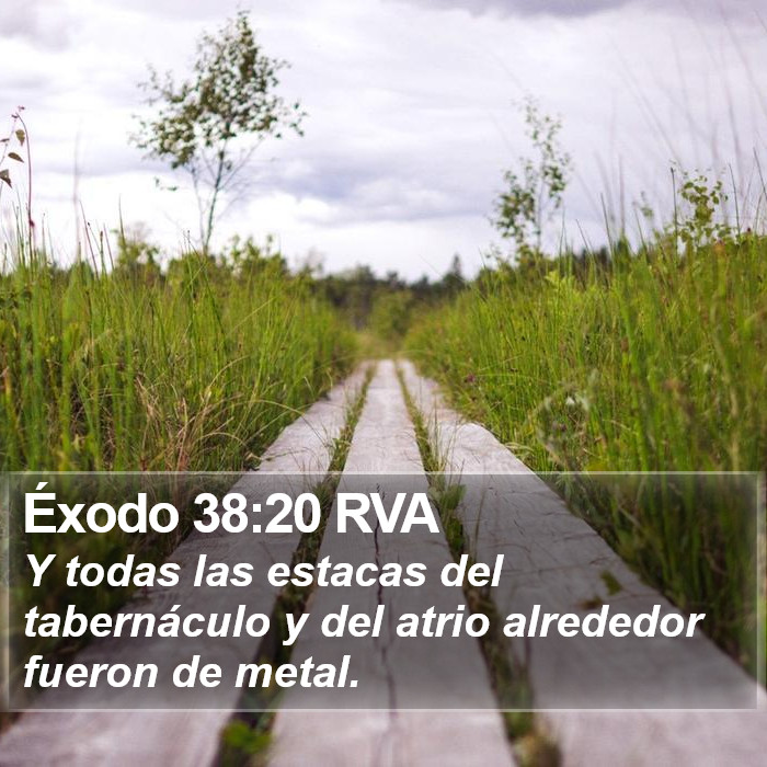 Éxodo 38:20 RVA Bible Study