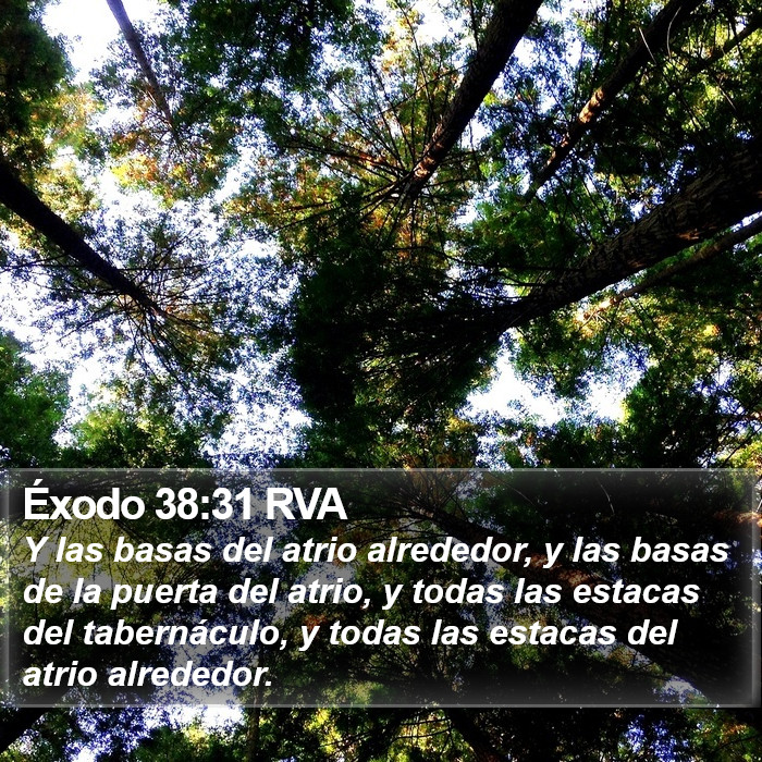 Éxodo 38:31 RVA Bible Study