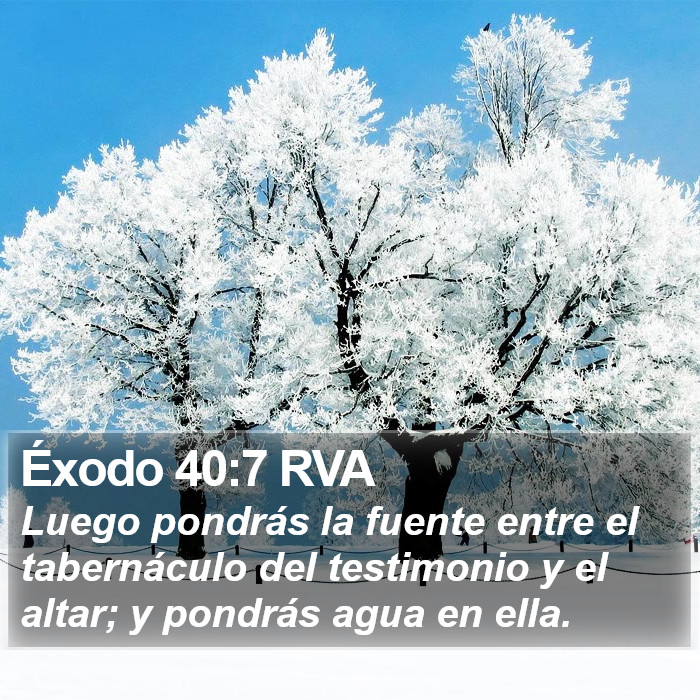 Éxodo 40:7 RVA Bible Study