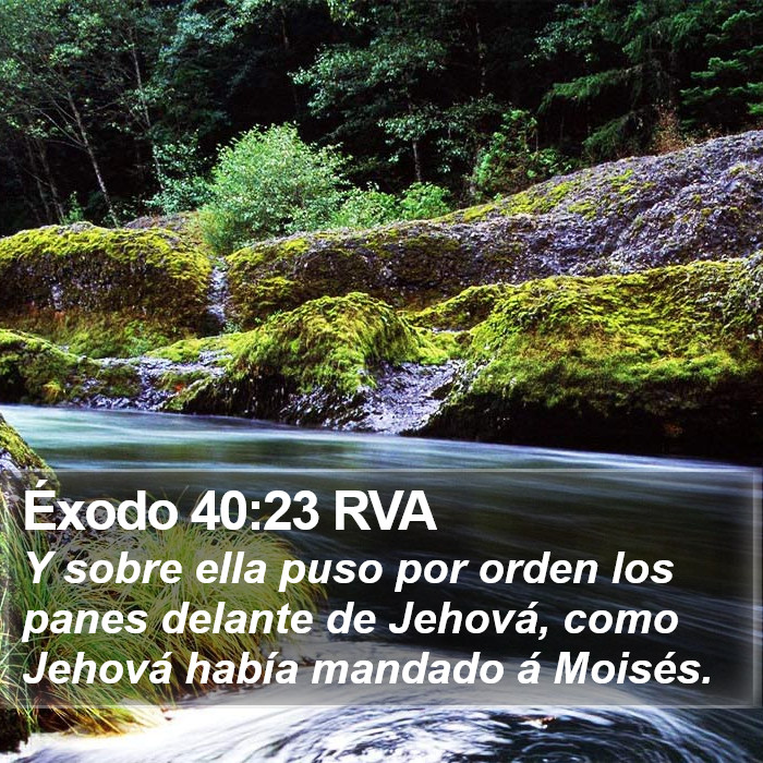 Éxodo 40:23 RVA Bible Study