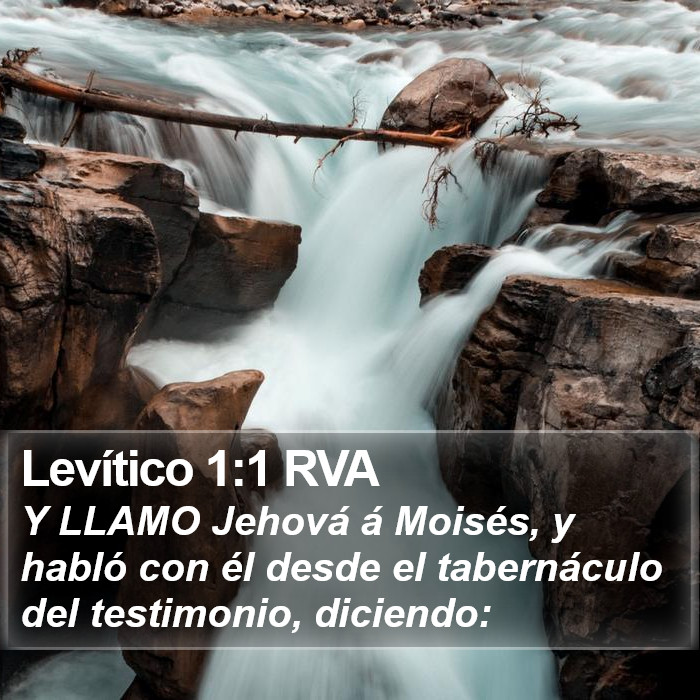 Levítico 1:1 RVA Bible Study