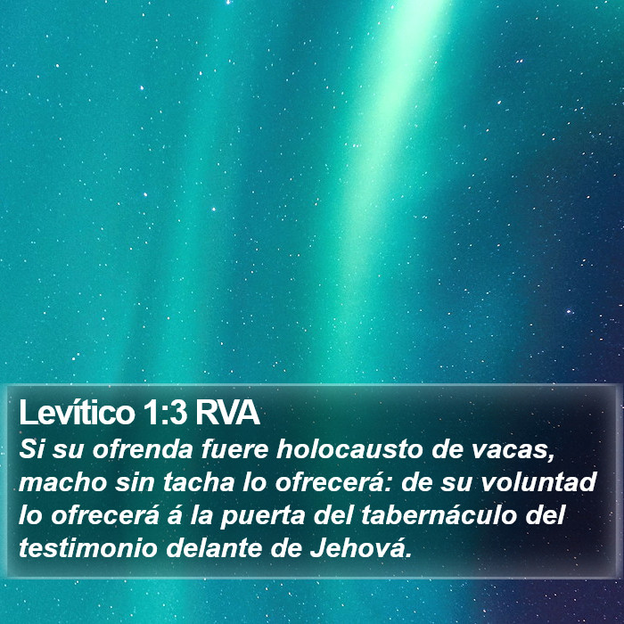 Levítico 1:3 RVA Bible Study