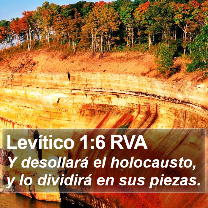 Levítico 1:6 RVA Bible Study