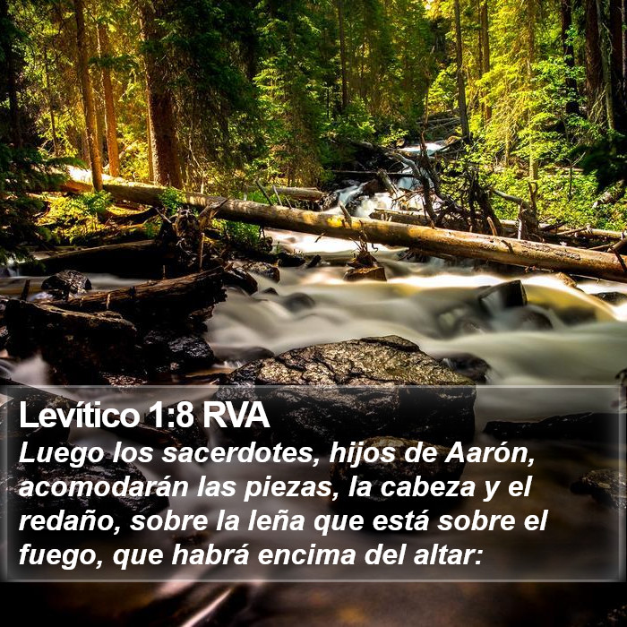 Levítico 1:8 RVA Bible Study