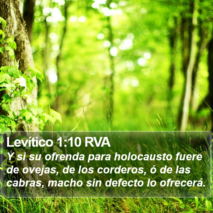 Levítico 1:10 RVA Bible Study