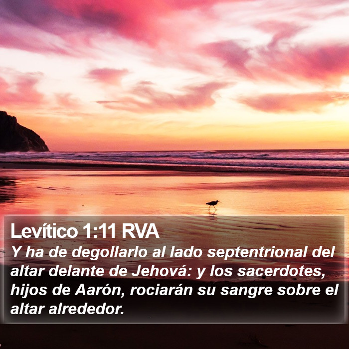 Levítico 1:11 RVA Bible Study