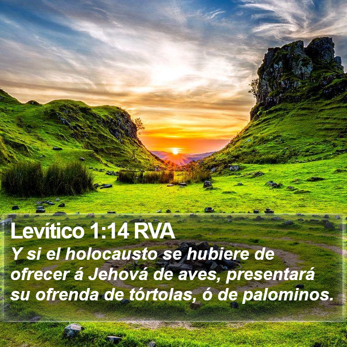 Levítico 1:14 RVA Bible Study