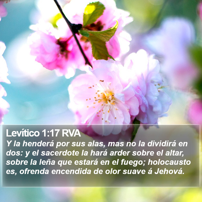 Levítico 1:17 RVA Bible Study