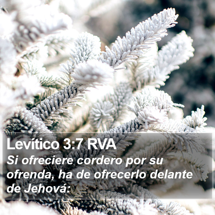 Levítico 3:7 RVA Bible Study