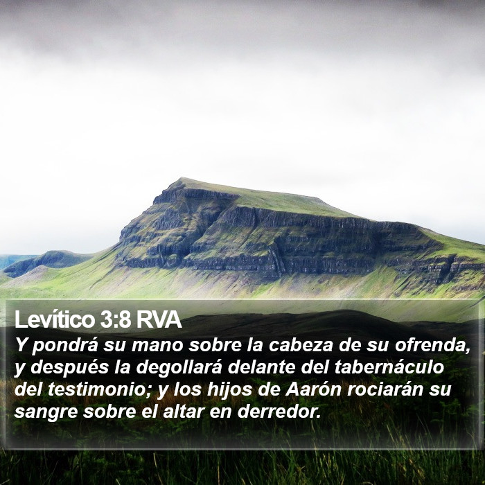 Levítico 3:8 RVA Bible Study