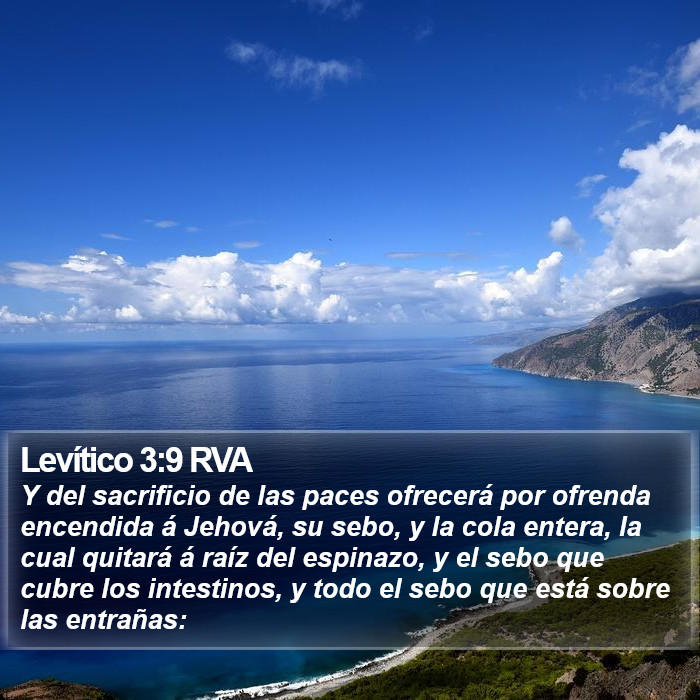 Levítico 3:9 RVA Bible Study