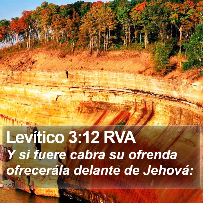 Levítico 3:12 RVA Bible Study