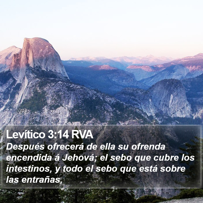 Levítico 3:14 RVA Bible Study