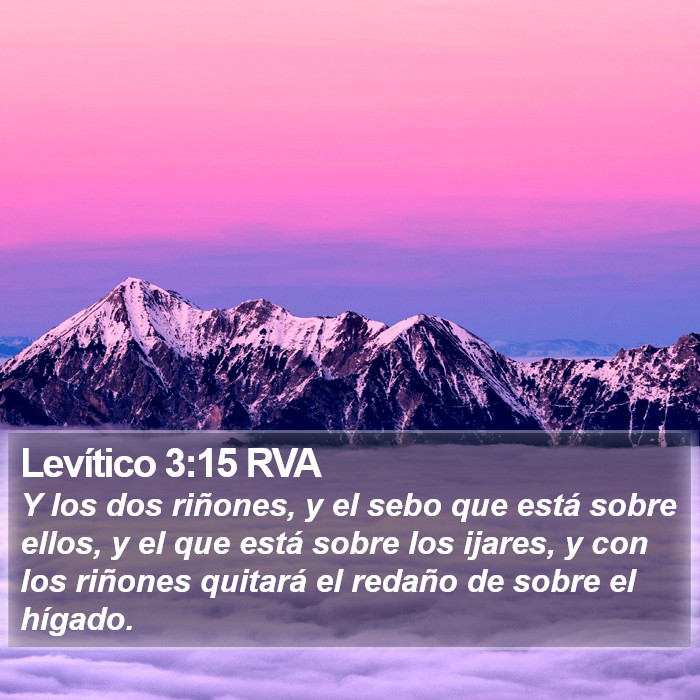 Levítico 3:15 RVA Bible Study