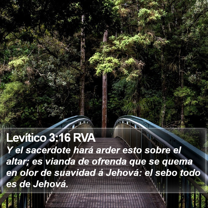 Levítico 3:16 RVA Bible Study