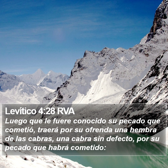 Levítico 4:28 RVA Bible Study