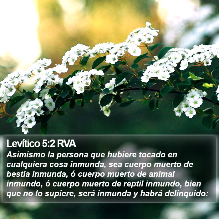 Levítico 5:2 RVA Bible Study