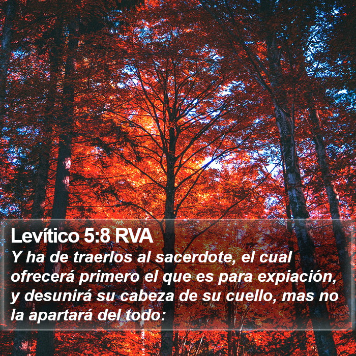 Levítico 5:8 RVA Bible Study