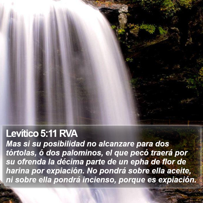 Levítico 5:11 RVA Bible Study