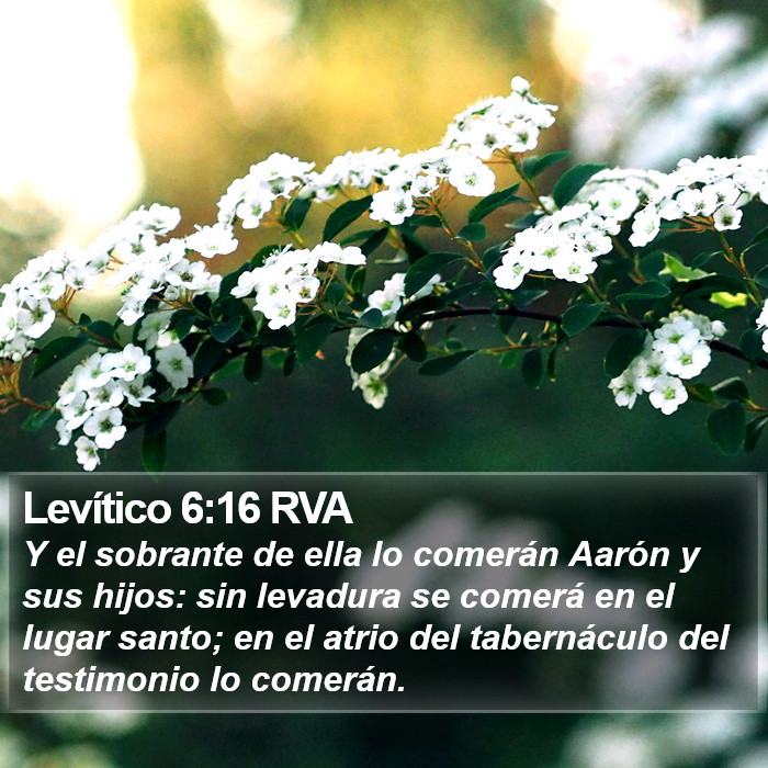 Levítico 6:16 RVA Bible Study