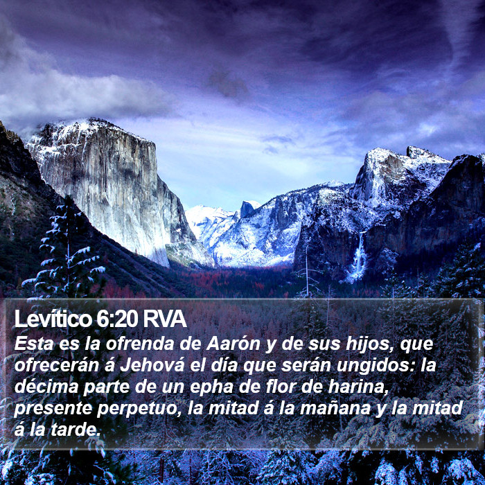 Levítico 6:20 RVA Bible Study