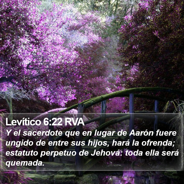 Levítico 6:22 RVA Bible Study