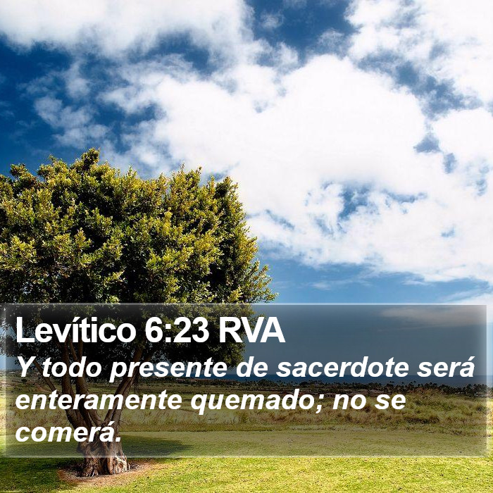 Levítico 6:23 RVA Bible Study