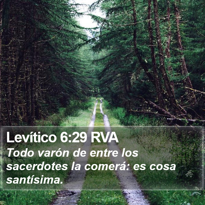 Levítico 6:29 RVA Bible Study